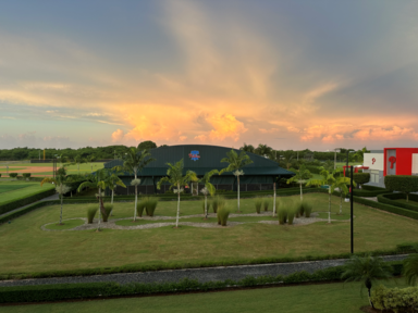 Phillies Baseball Academy in Santo Domingo, Dominican Republic with palm trees in front of it